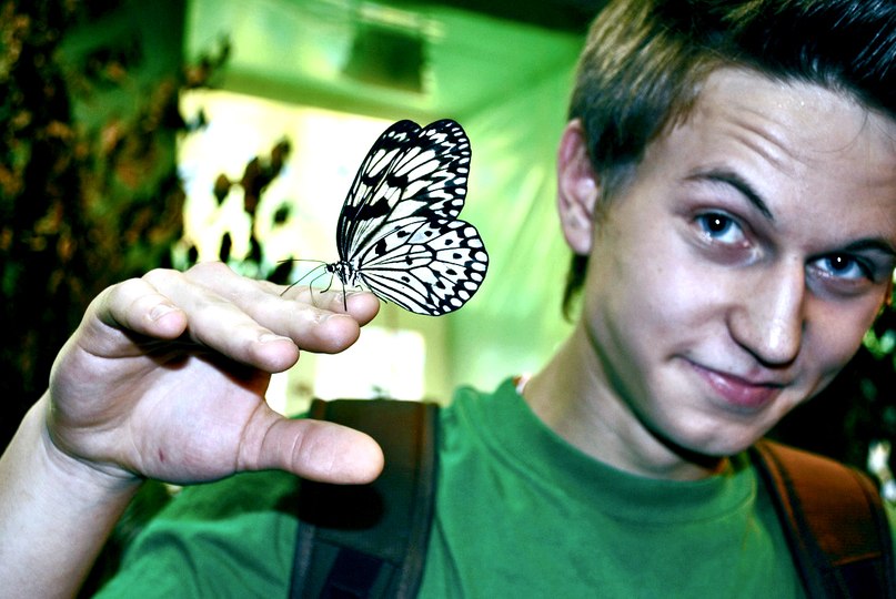 Дмитрий Петренко | Москва