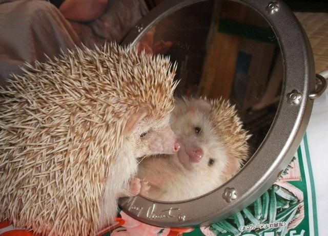 Галина Матюхина | Москва