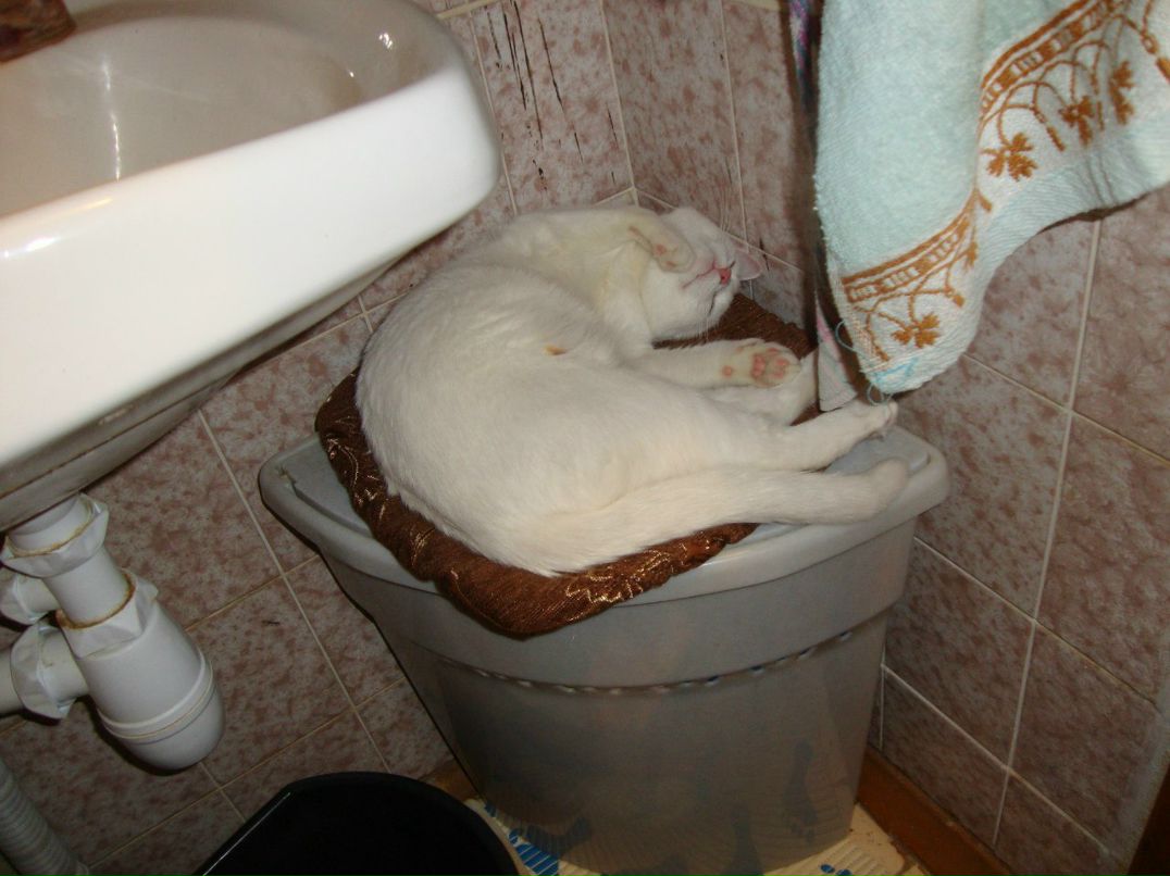 Светлана Кирусова | Великий Новгород