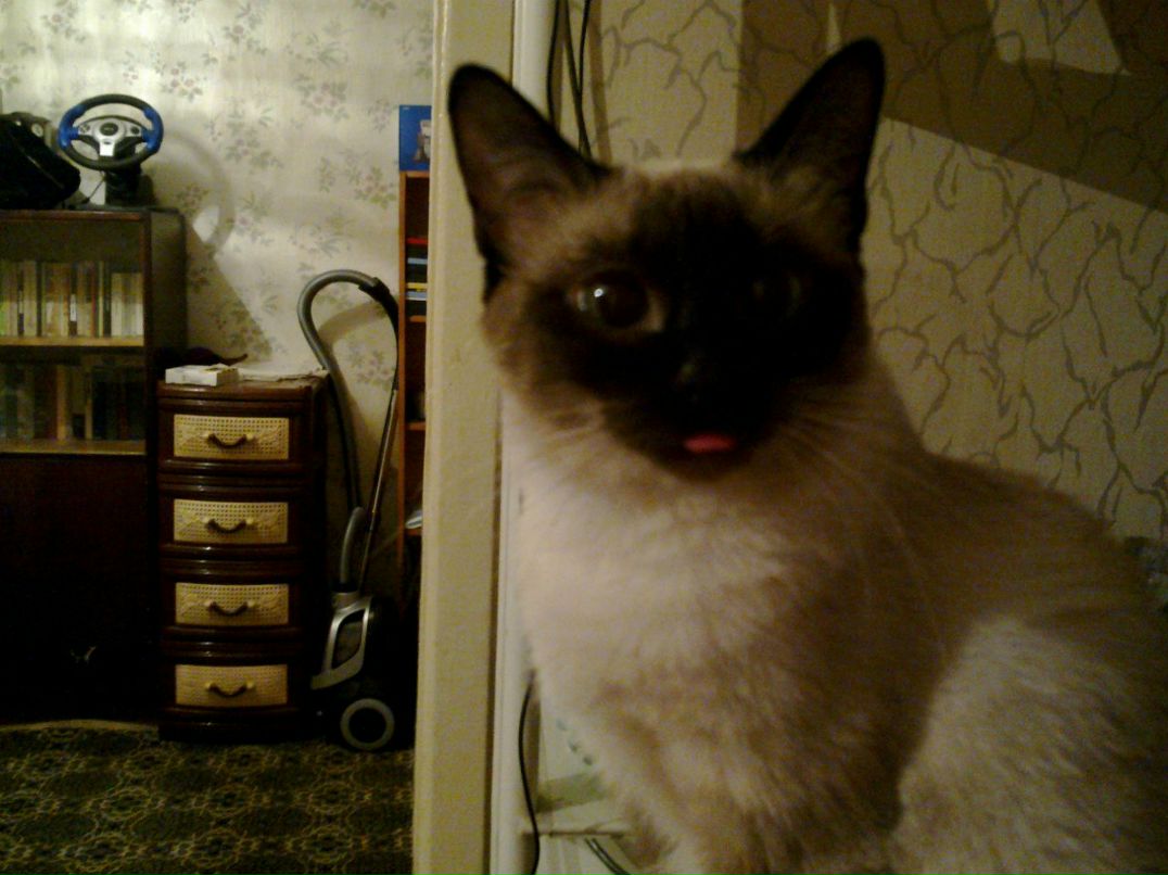 Серёга Матросовский | Красноярск