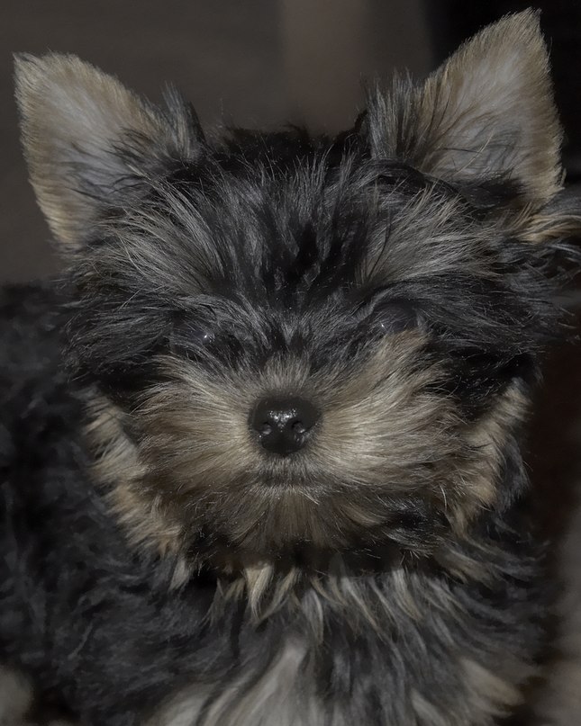 Ян Ливинцев | Иркутск