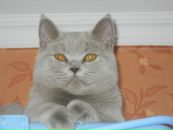 №1 Юлия Чиркова : профиль, фото, статус - ВКонтакте