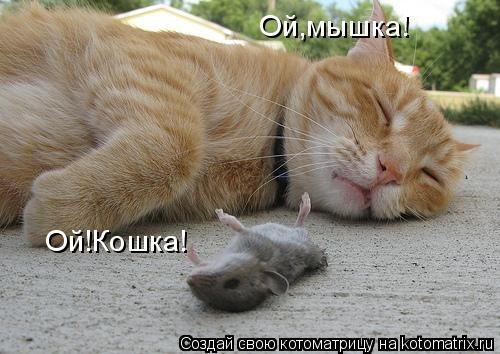 №10, Евгения Петрова №10, Евгения Петрова