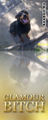 №28, Васюндрик Шестаков, 13.07.1903, Николаев №28, Васюндрик Шестаков, 13.07.1903, Николаев