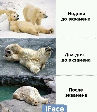 Максим Герасименко Александрович | Киев