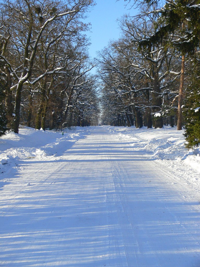 Тарас Кононюк | Белая Церковь