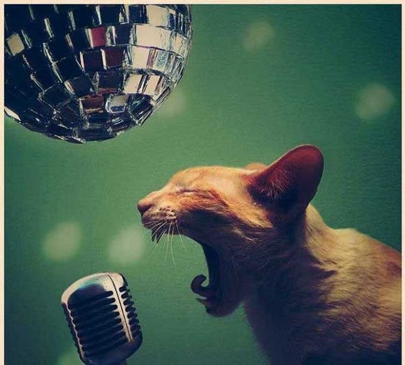 Рост Сергеич E=mc² | Киев