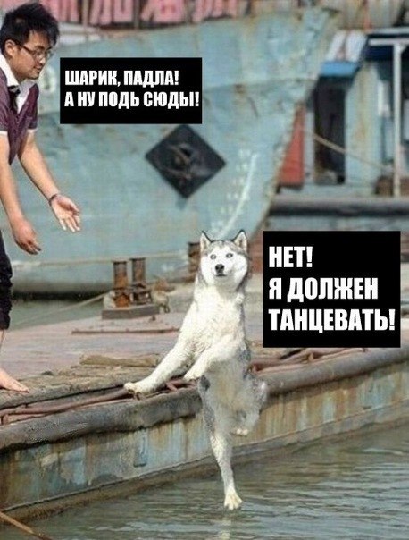 №100, Kollega Грудева, Кривой Рог №100, Kollega Грудева, Кривой Рог