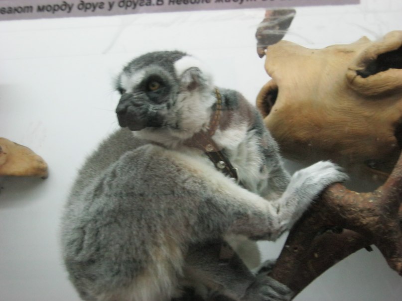 Виктор Ергеев | Одесса