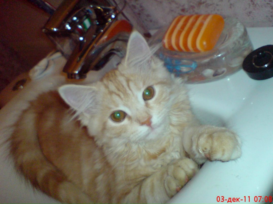 Анна Панченко | Обухов