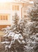 Татьяна Омельченко фотография #17 (источник - https://vk.com/id8699259)