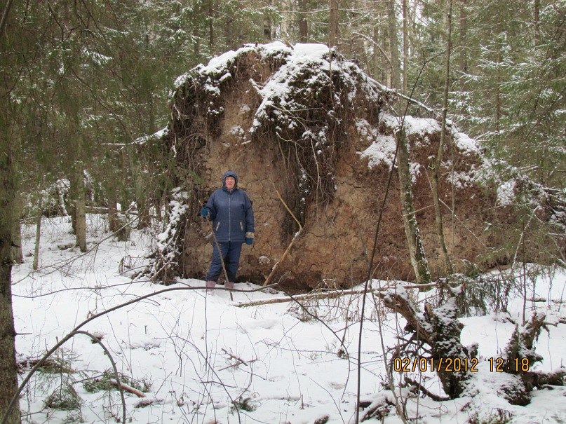 Ольга Маркелова | Санкт-Петербург