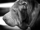 Фотография Юлия Садофьева