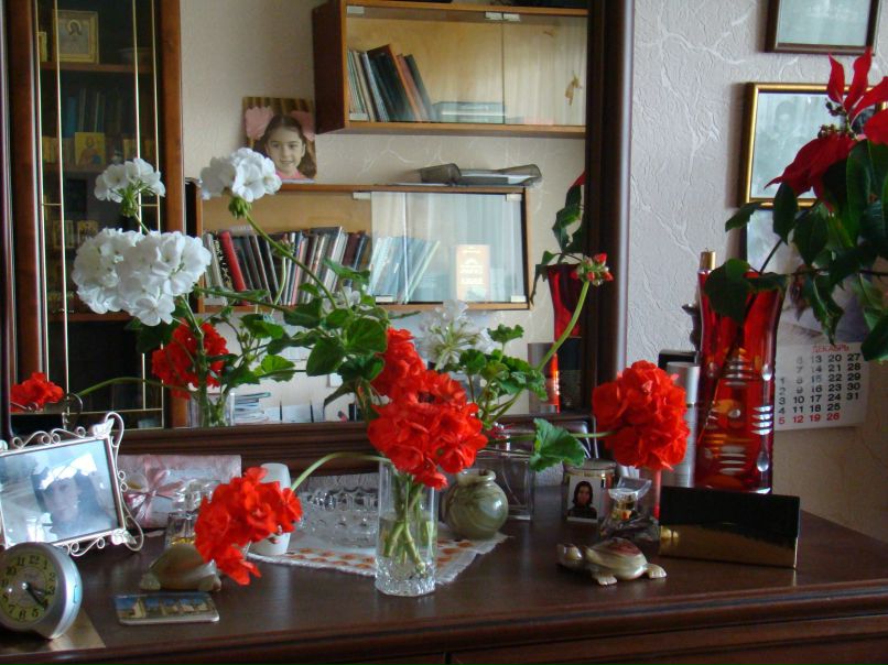 gruzdneva@mail.ru Грузднева | Запорожье