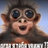 Аватар: Юрий Овчинников
