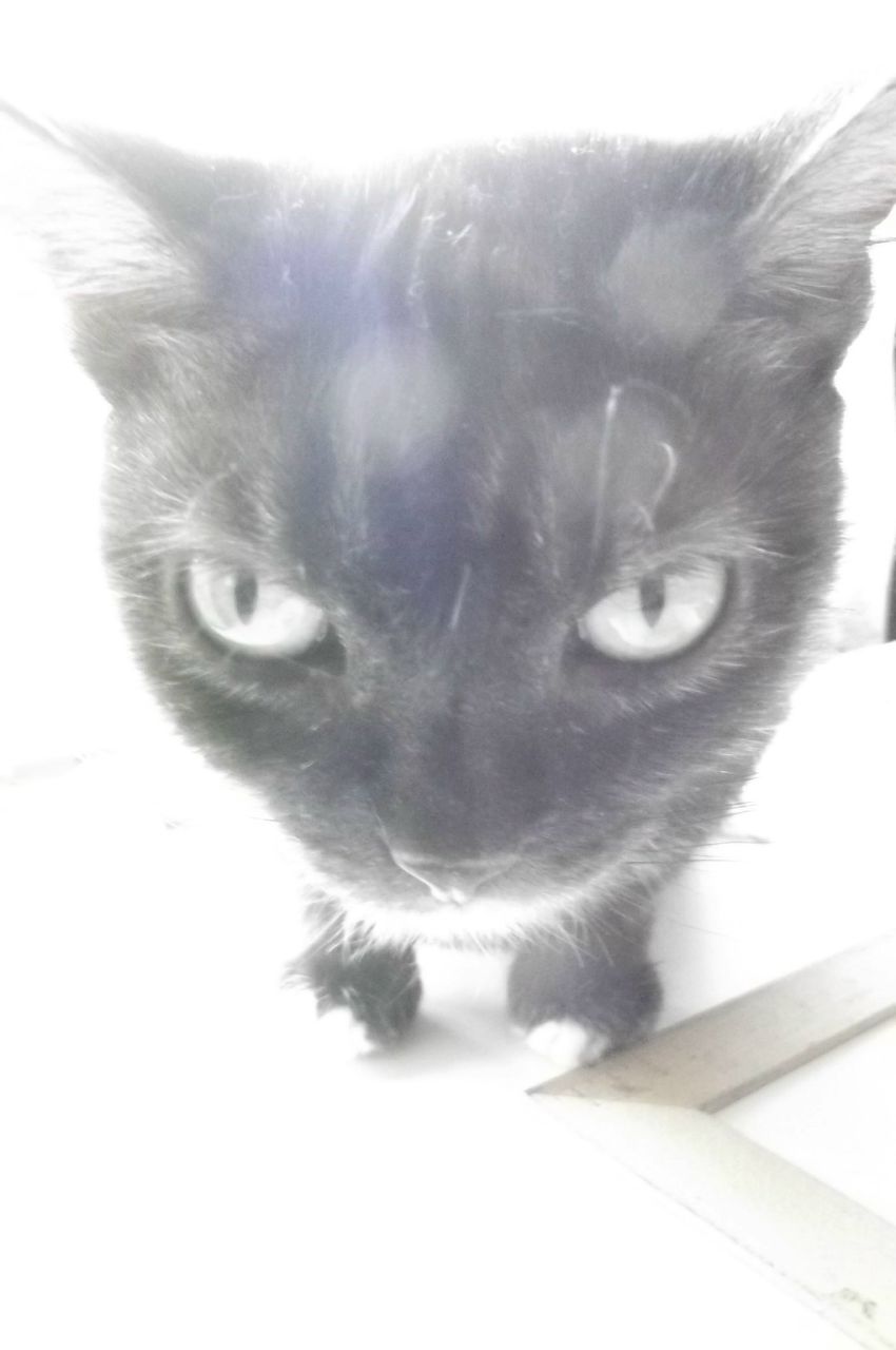 Игнат Крюков | Железногорск