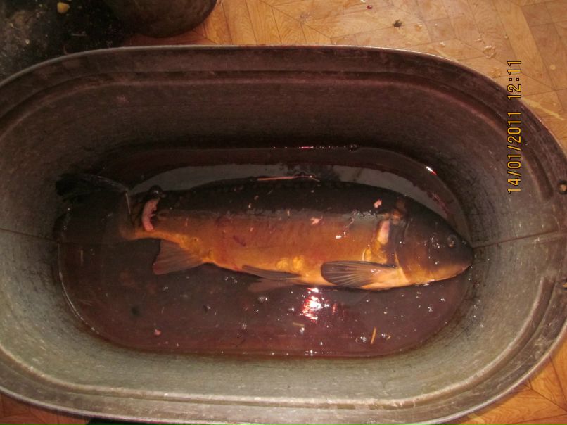 Коля Ларин | Сергач