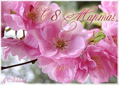 №40, Екатерина Куликова, Санкт-Петербург №40, Екатерина Куликова, Санкт-Петербург