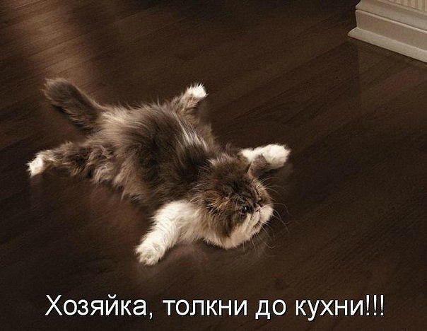 Виктория Андреева FL@Shka | Ухта