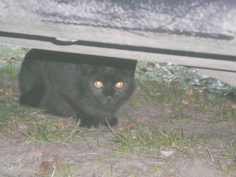 Ростислав Петров | Berlin