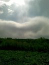 Фотография Баитова Максима