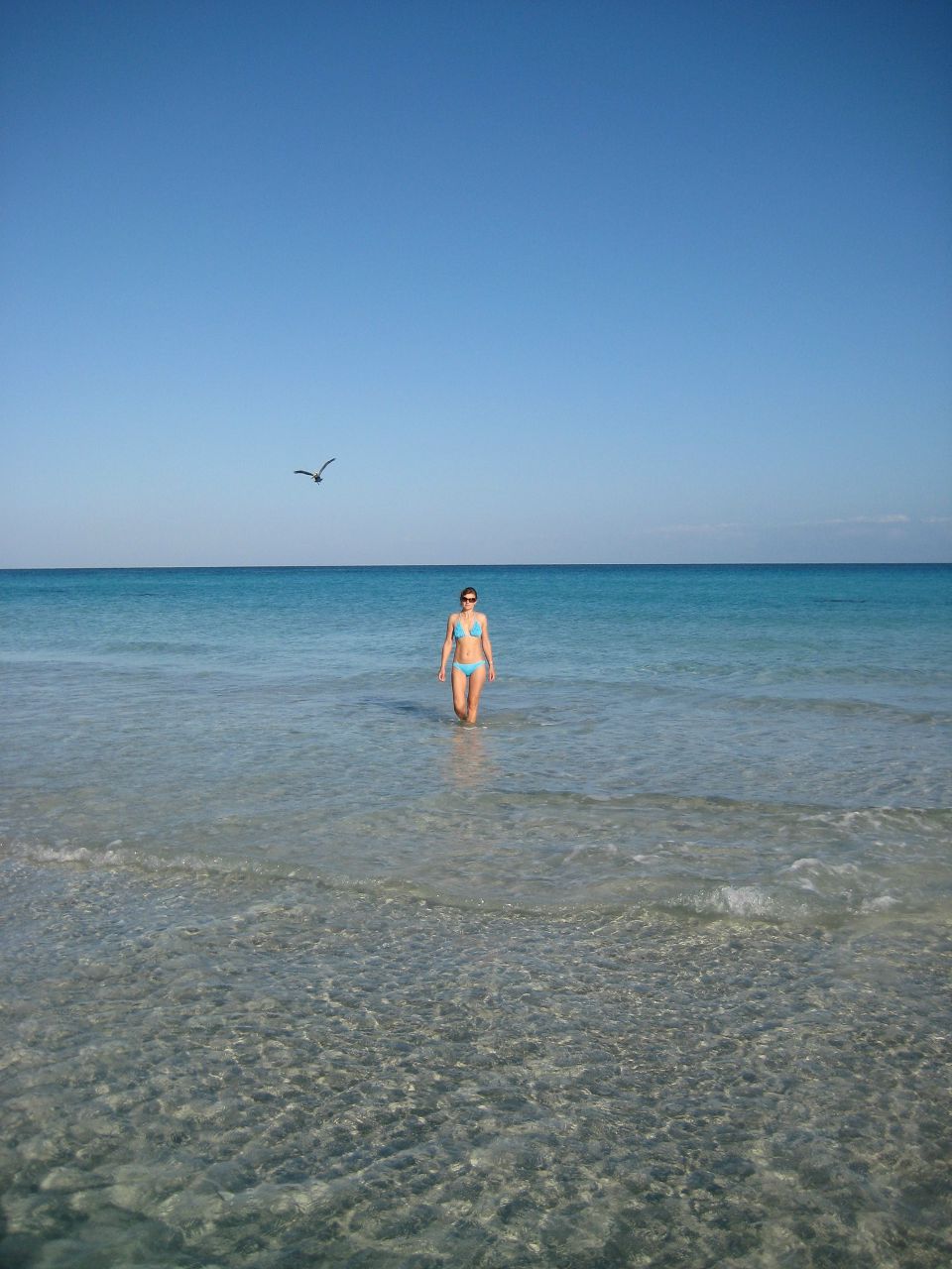 Елена Смирнова | Санкт-Петербург