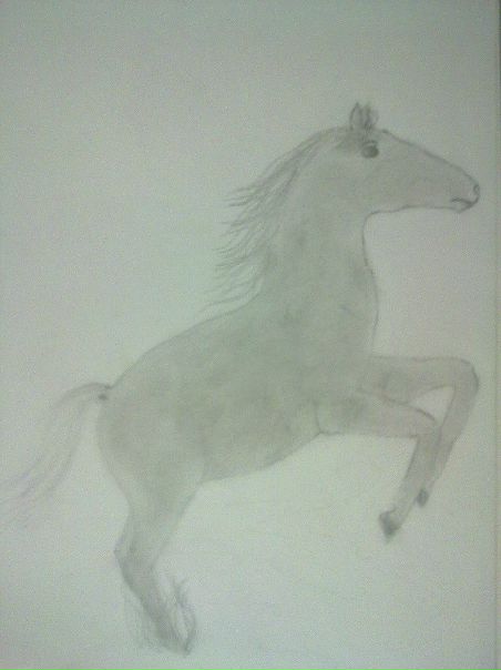 №12, Андрей Романов №12, Андрей Романов