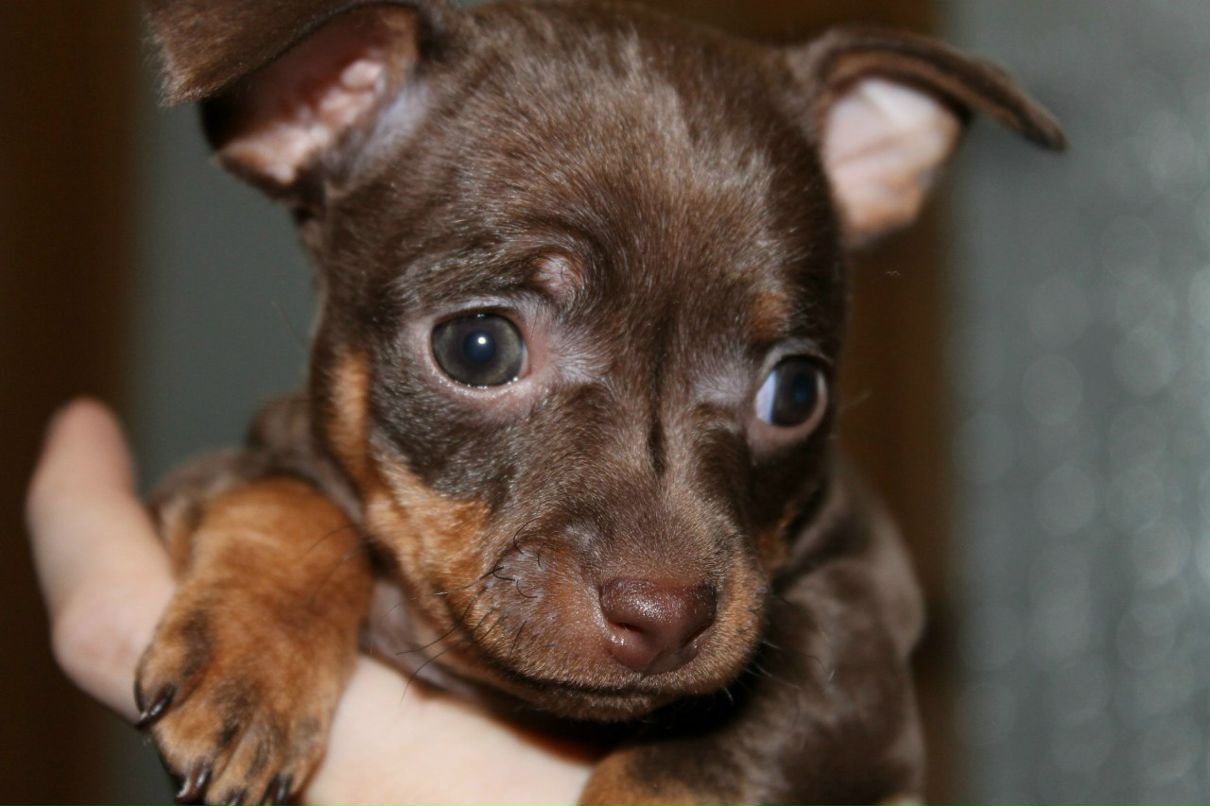 Гульнара Янкевич | Екатеринбург