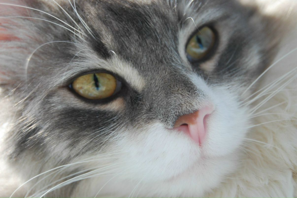 Tyzik Rityzik | Одесса