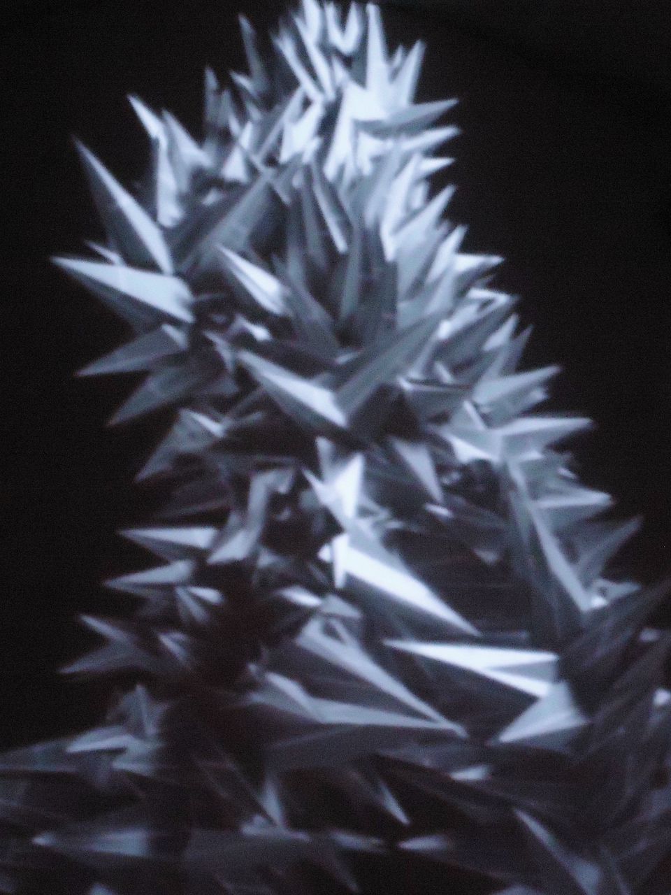 Таисия Борисенко | Киев