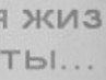 Игорь Терёшин | Ногинск
