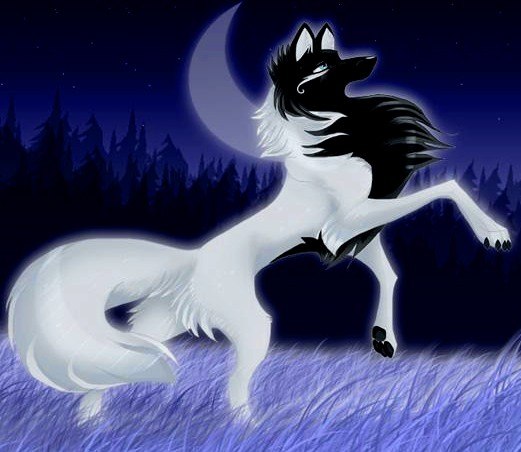 Вероника Славянова | Москва