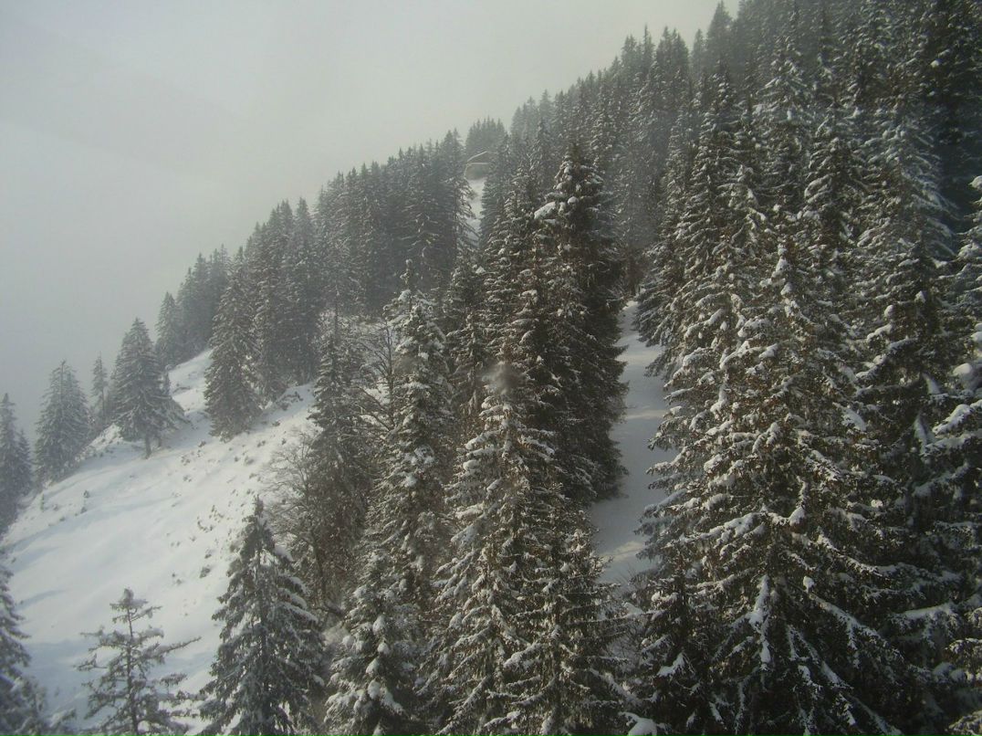 Сергей Городниченко | Киев