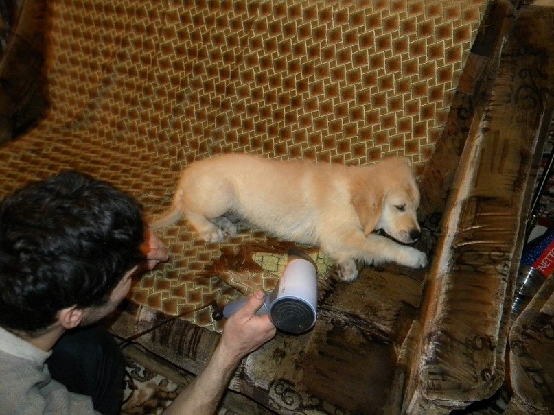 Ольга Аврутова | Санкт-Петербург