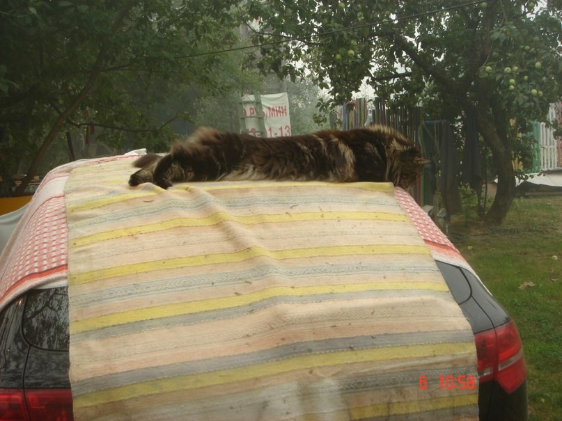 Татьяна Прохорова | Москва