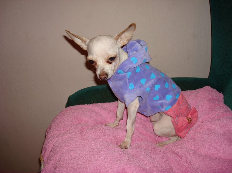 Маша Кондина | Roma