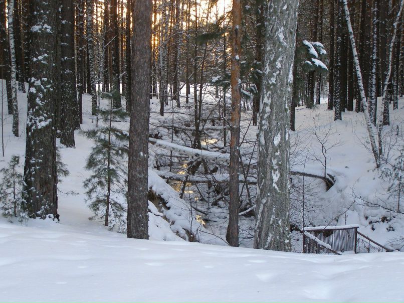 Алексей Друзин | Алатырь
