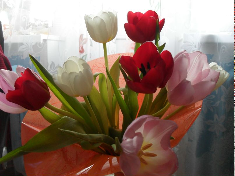 Ольга Рощанинова ♠♠♠ | Сясьстрой