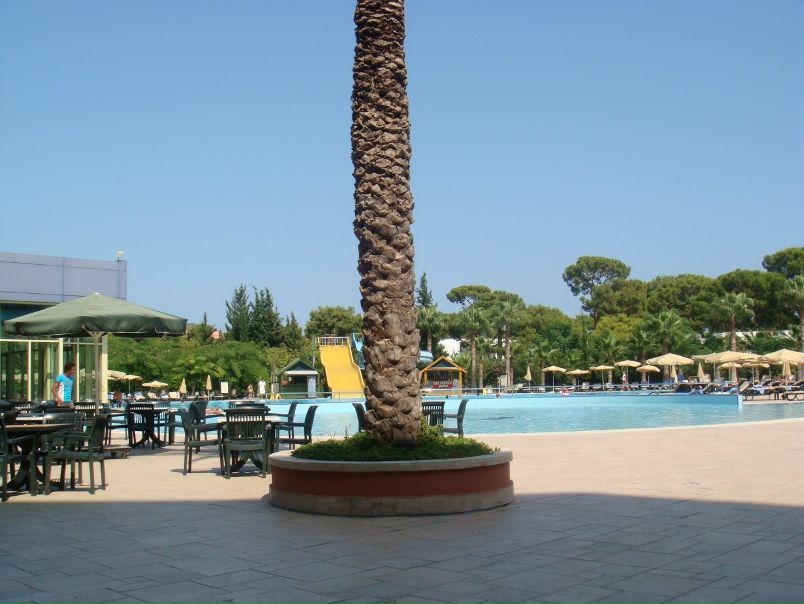 №115, Даша Якунина, 10.10 №115, Даша Якунина, 10.10