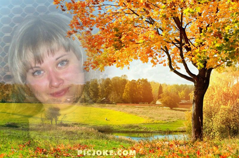 №19, Светлана Спиридонова №19, Светлана Спиридонова