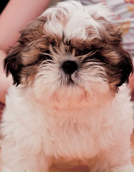 №30, Максим Пилипенко, 34 года, Севастополь №30, Максим Пилипенко, 34 года, Севастополь