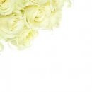 №138, Максим Тарасов, 37 лет, Казань №138, Максим Тарасов, 37 лет, Казань