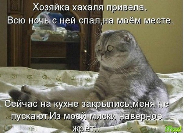 №68, Дашуля Манько №68, Дашуля Манько