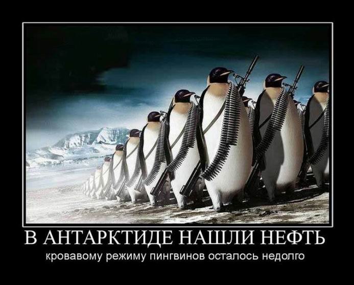 Юрий Кулик | Запорожье