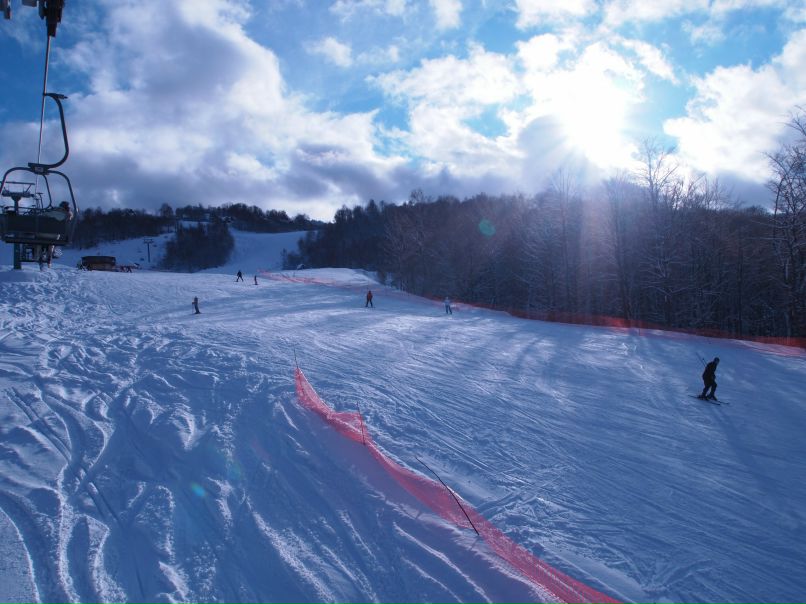 Лариса Герман | Киев