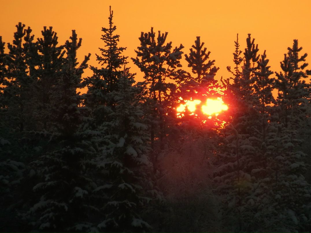 Эдуард Логунов | Кировск