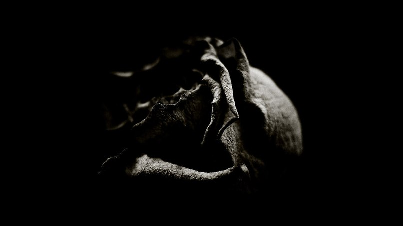 Илья Славик | Минск