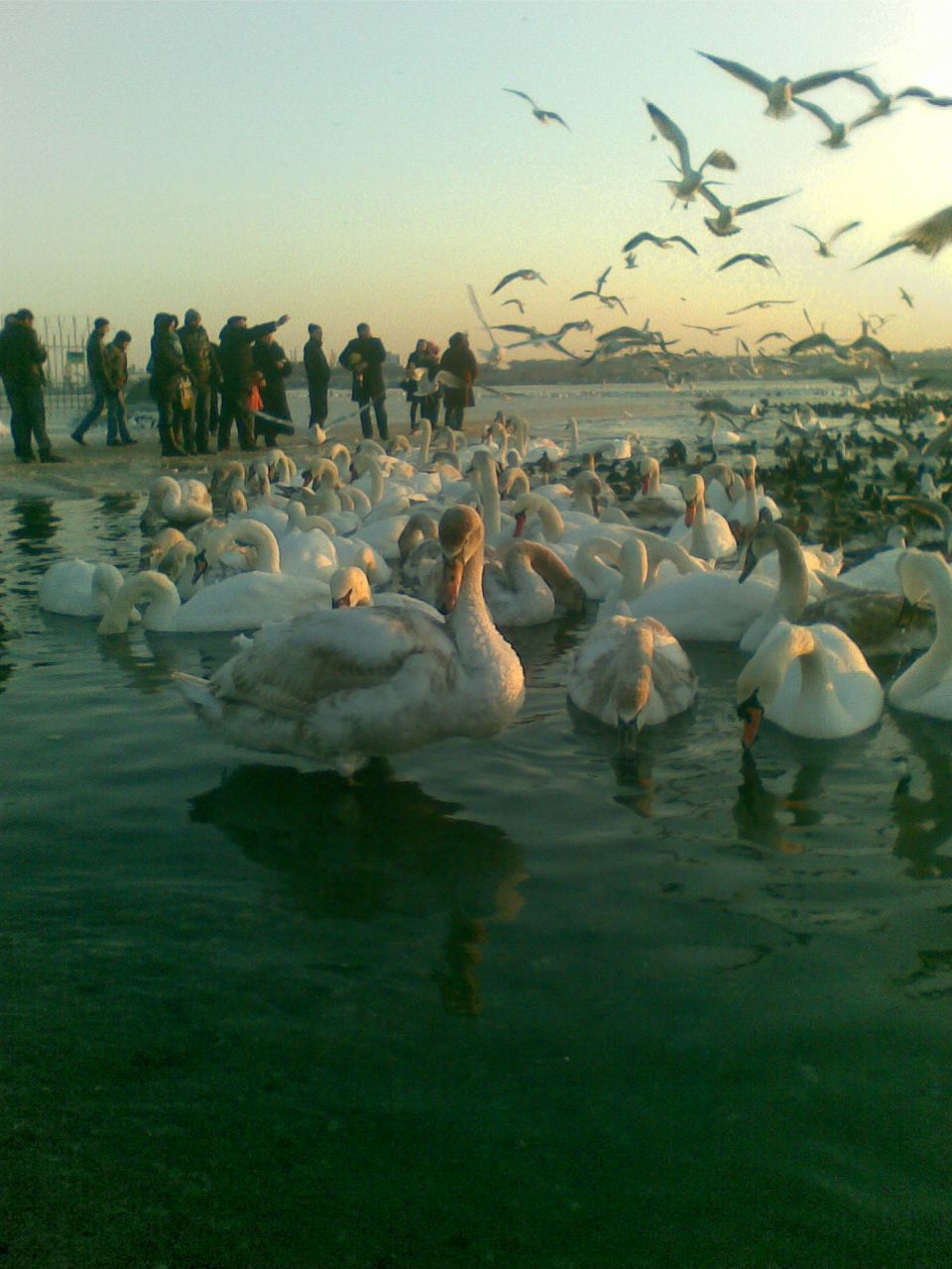 Евгений Рашковский | Одесса