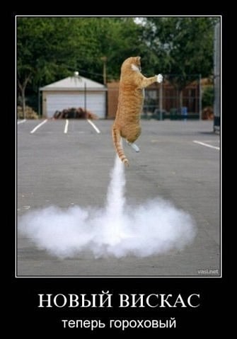 Лена Головач <---> | Днепр (Днепропетровск)