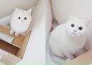 №22 Гульнара Гиматдинова 13.10.1991: профиль, фото, статус - ВКонтакте